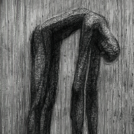 Пошехонский колосс