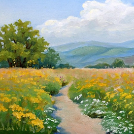 Гора Витоша. Август. 