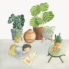 Мои друзья растения