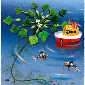 водяной орех