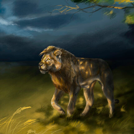 Дождливый вечер