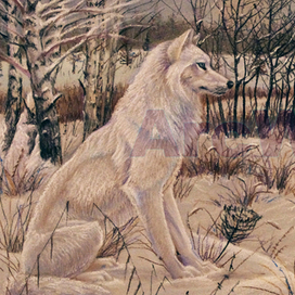 Снежный волк