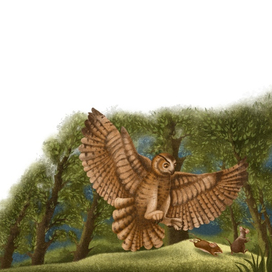 Ночной хищник. Иллюстрация для книги издательства 'Качели'