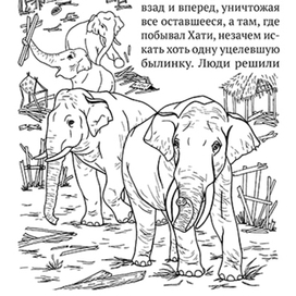 Книга джунглей. Нашествие джунглей. Слоны в деревне.