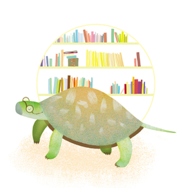 Книжная черепаха