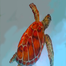 Черепаха 2