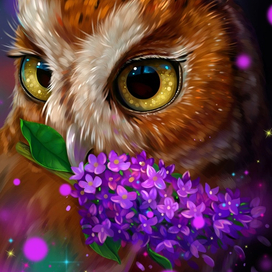 Сова и сирень 