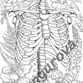 Раскраска Рёбра