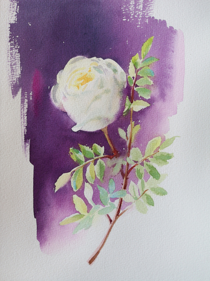 "Веточка розы"