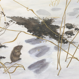 Мышонок Пик