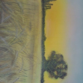 Пшеничное поле