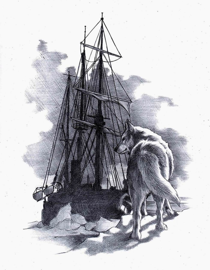 Молниеносный. 5-1