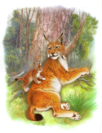 Поздний детёныш