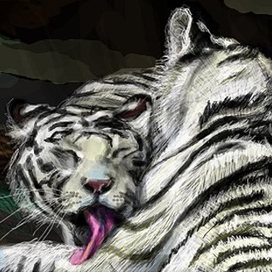 Белые тигры | Нраффити