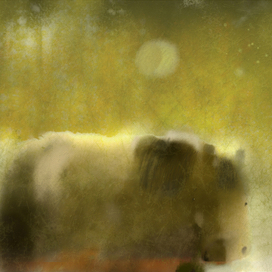 Двенадцать  месяцев скачек - это вам не шутки!