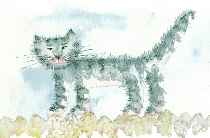 Уличный кот