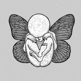 Человек-мотылёк