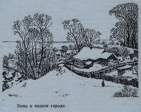 Зима в нашем городе