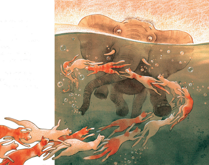 СОН (и слон)