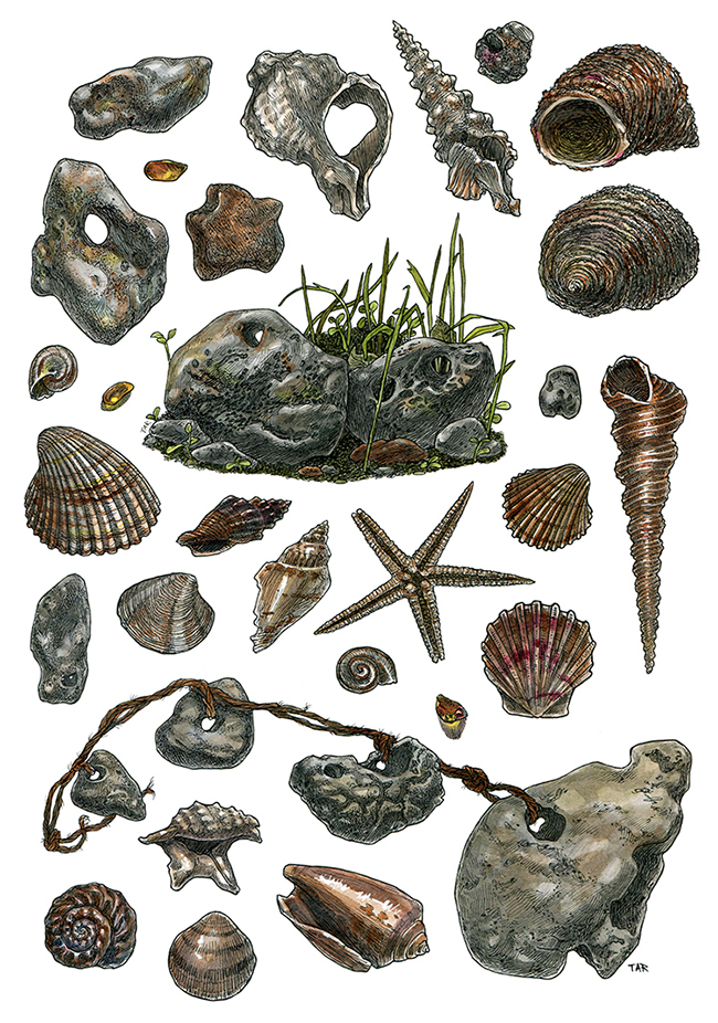 Ракушки и камни из серии "Маленькие предметы"