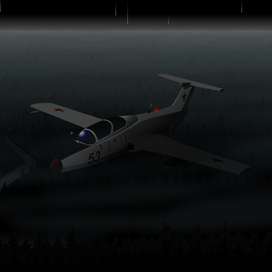 FCANo.18K "Л29" над ночным лесом в период звездопада.