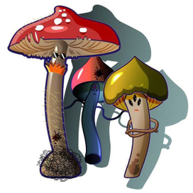 Грибное братство