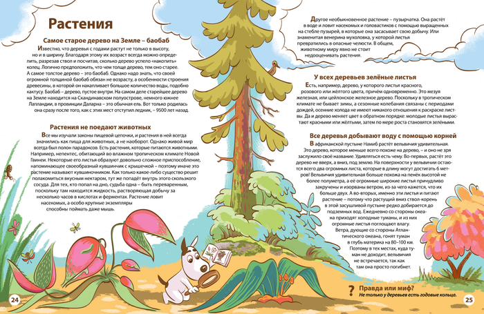 Разнообразие растительного мира