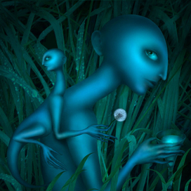 Вино из одуванчиков