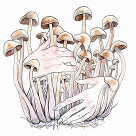 Прикосновение 