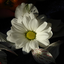 "Сотворение мира"