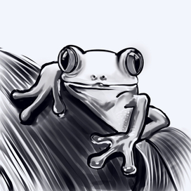 Лягушка квакушка