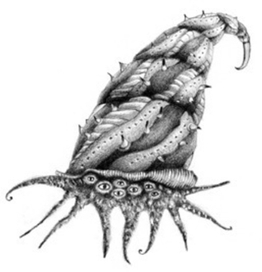 морской глазастик