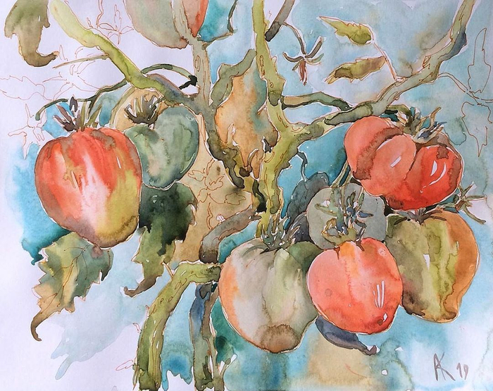 Помидорчики