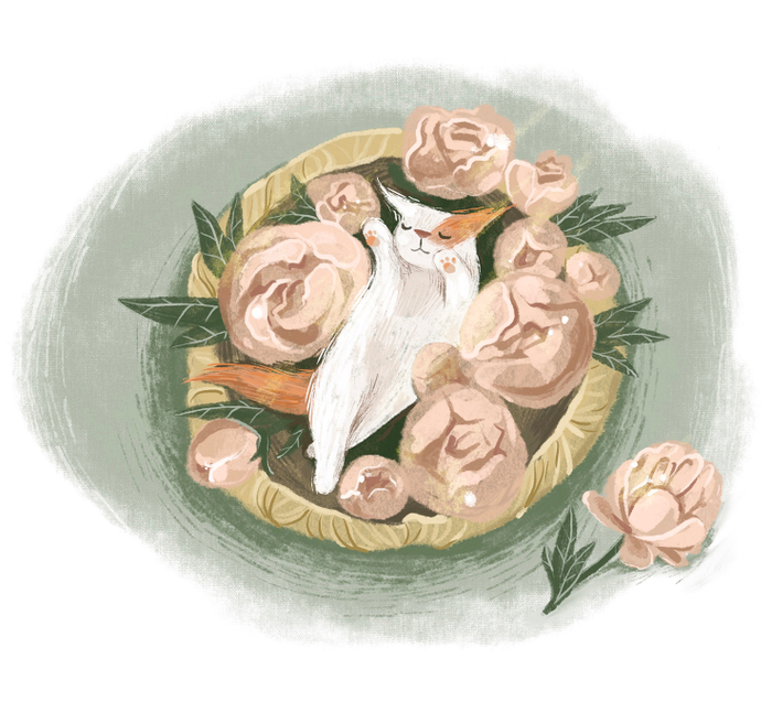 Как нашли Пиона