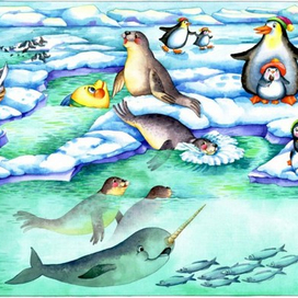 север и его обитатели