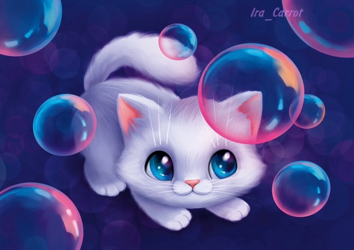Котик играет с пузырями