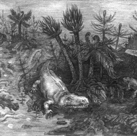 палеонтология