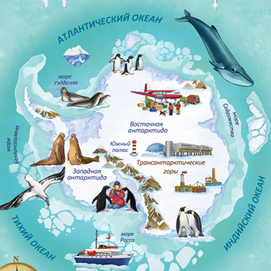 арктика и антарктида