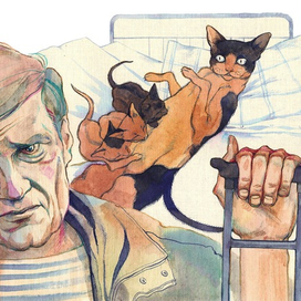 Иллюстрация 