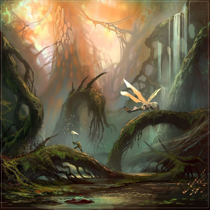 Энтомолог за работой.