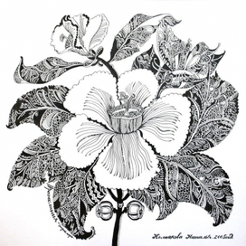 серия "Цветы"