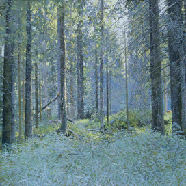 Валаам.Лесная чаща.