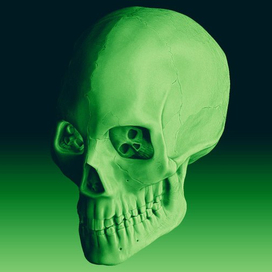 Стадик черепа в Zbrush