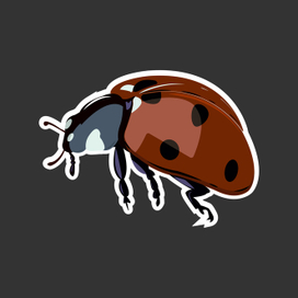 Божья коровка