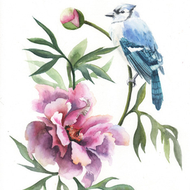 Пион и птица