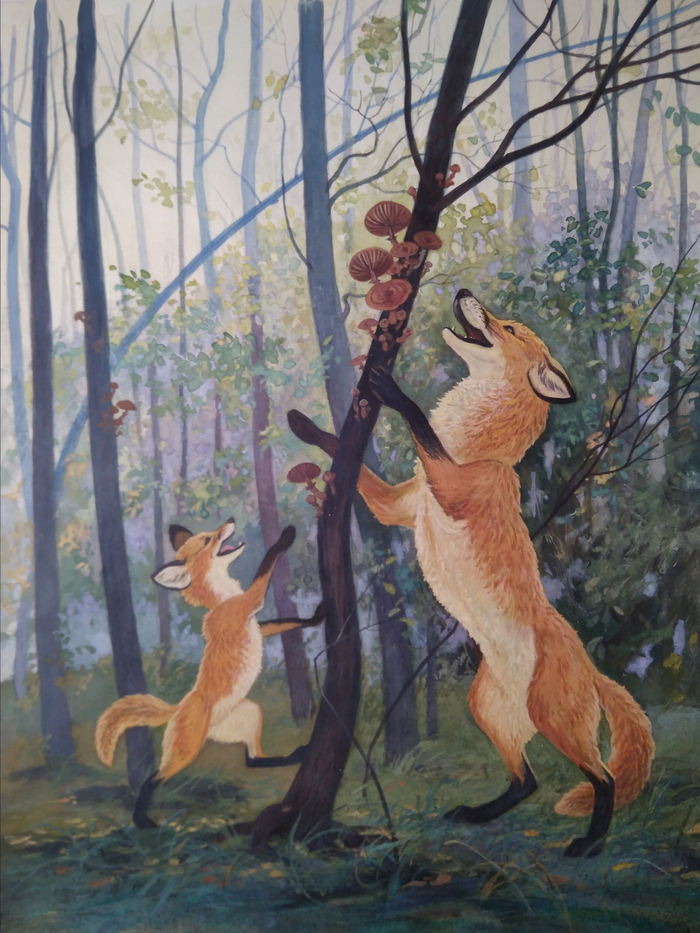 Илл. к рассказам и сказкам о природе В. Зотова (7)