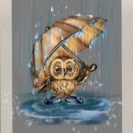 Совушка под дождем