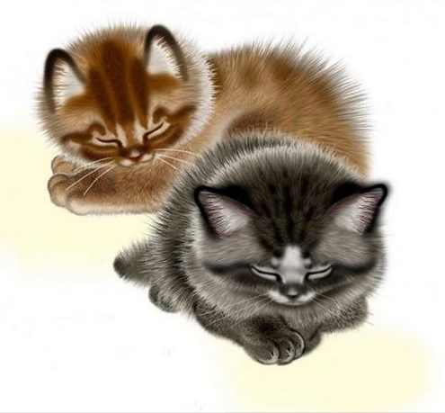 Осваивал Пейнтер