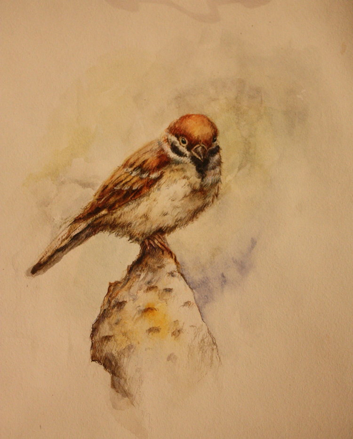 *воробышек*