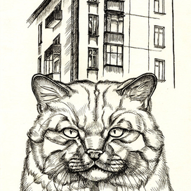 Пошел из нашего двора